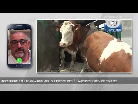INSEGUIMENTI E MULTE AI MALGARI: «DELUSI E PREOCCUPATI, È UNA PERSECUZIONE» | 30/05/2026 thumbnail