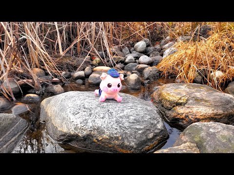 PIGGE REAL thumbnail
