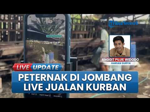 Cara Unik Peternak Jombang Jual Kambing Kurban Idul Adha, Laris Manis Lewat Live di Media Sosial thumbnail