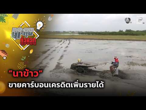 "นาข้าว" ขายคาร์บอนเครดิตเพิ่มรายได้ | ตะลุยต่อยอด thumbnail