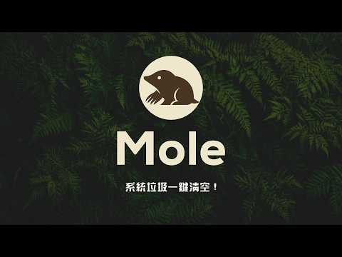 別再被訂閱制優化軟體綁架了！完全開源零廣告 Mole 幫你揪出藏在深處的肥大檔案，讓 Mac 順得像剛買的一樣！ thumbnail