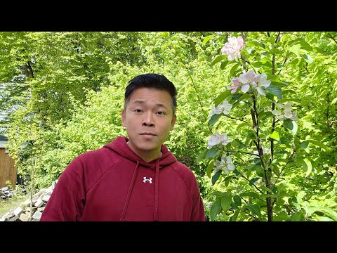 Putin, đến Trung Quốc trong hốt hoảng - Nhật Bản bay xa và Việt Nam quan ngại -  Ngày 19/05/2026.. thumbnail