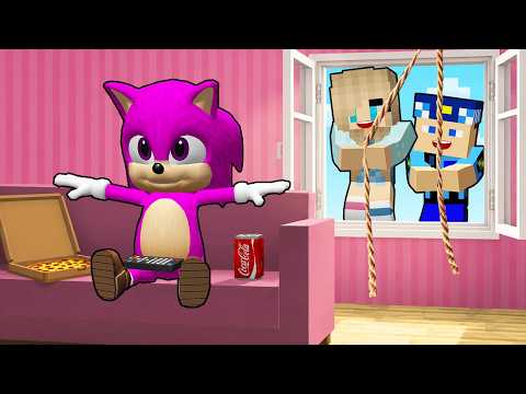Neden Gizlice Kız Bebek Sonic'in Evine Girdik! -Minecraft thumbnail