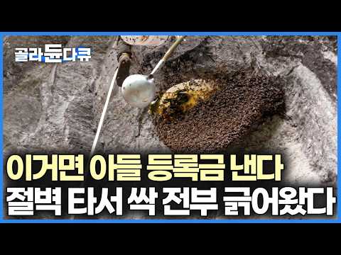 인간은 닿을 수 없는 100m 아찔한 절벽, 몇 년 동안 딱지처럼 굳어진 석청 긁어내기 | 중국 원시림 석청 | 극한직업 | #골라듄다큐 thumbnail