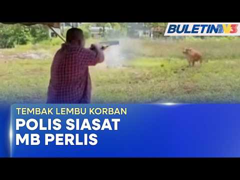 TULAR | Tembak Lembu Mengamuk Demi Keselamatan Orang Ramai - MB Perlis (BU) thumbnail