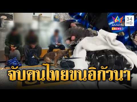 เอกวาดอร์จับ 3คนไทย ลักลอบขนอิกัวนาคาสนามบิน | ข่าวอรุณอมรินทร์ | 22/05/69 thumbnail