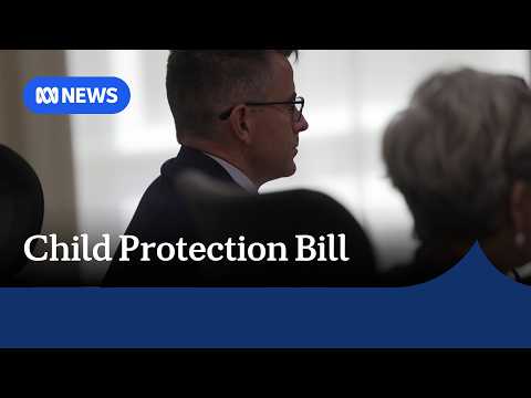 NT child protection bill one year in the making had ‘limited’ consultation | ABC NEWS thumbnail