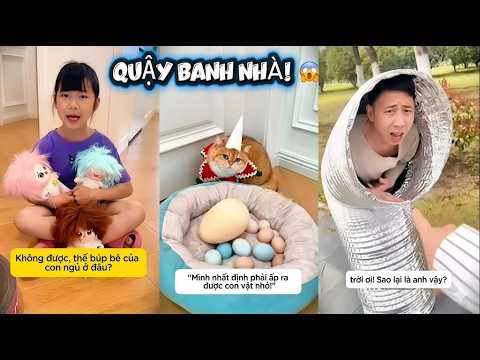 🤣 TỔNG HỢP SIÊU HÀI: Mèo Đường Bảo Quậy Tung Nhà & Ba Hậu Đậu Bị Phạt! 🐱💦 thumbnail