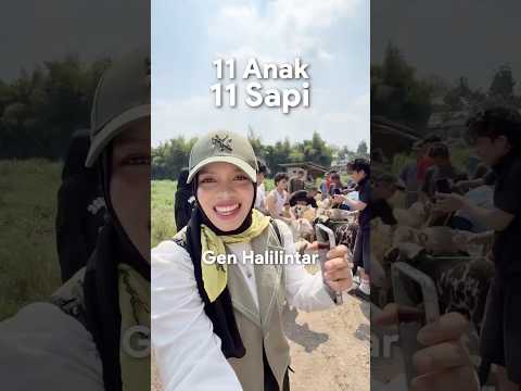 11 anak, 11 kambing yuk kurban prioritas bareng @BaitulmaalMuamalat thumbnail