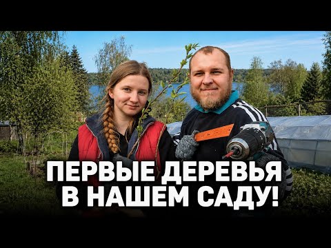 ЕДЕМ В ЧКАЛОВСКИЙ ПЛОДОПИТОМНИК | Высаживаем первые деревья и смородину | план участка thumbnail
