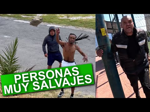 VIDA SALVAJE 11 (BROMA) thumbnail