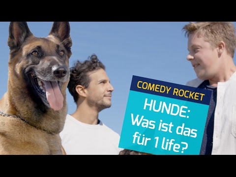Hunde ?  - WAS IST DAS FÜR 1 LIFE? - Clemensalive,  Kommissar Rex & Daniele Rizzo thumbnail