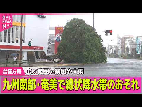 【台風6号接近】暴風域伴い関東などに接近へ　警報級大雨のおそれも　最新の予報は── ニュースライブ（日テレNEWS LIVE） thumbnail