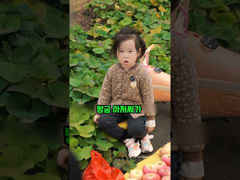 사과 파는 꼬마 사과 완판 시킨 이유 thumbnail