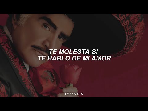 Vicente Fernández - Un Millón de Primaveras (Letra) thumbnail