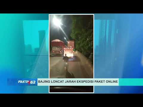 Bajing Loncat Jarah Ekspedisi Paket Online di Jakarta thumbnail