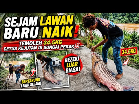 REZEKI LUAR BIASA! TEMOLEH 34.5KG NAIK DARI SUNGAI PERAK, PEMANCING AMBIL LEBIH SEJAM NAK DARATKAN‼️ thumbnail
