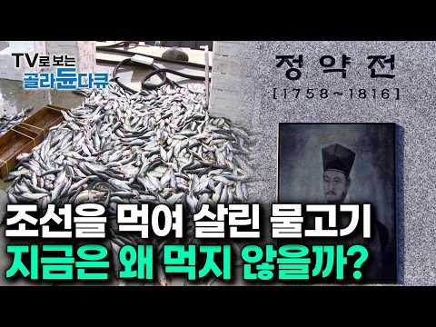 해외에선 없어서 못먹는다｜국내 고서에 가장 많이 등장한 최고의 물고기가 현재 한국에서 홀대 받고 있는이유｜다큐프라임｜#골라듄다큐 thumbnail