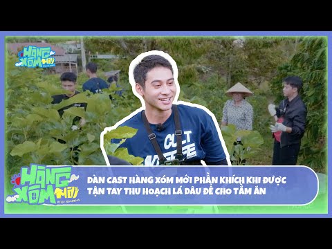 Hàng Xóm Mới - Hello Neighbors! | Phấn khích khi các HXM được tận tay thu hoạch lá dâu để cho tằm ăn thumbnail