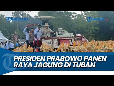 100 TON DIEKSPOR KE MALAYSIA, Presiden Prabowo Panen Raya Jagung di Tuban thumbnail
