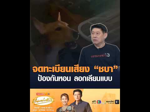 จดทะเบียนเสียง “ชบา” ป้องกันหอน ลอกเลียนแบบ thumbnail