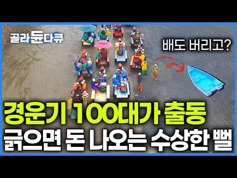 배 없는 바다로 경운기 100대가 단체로 돌진하는 기막힌 이유｜3시간 만에 60kg 노다지 쓸어 담는 황금 갯벌 마을. 새벽같이 안 가면 국물도 없다더니｜한국기행｜#골라듄다큐 thumbnail