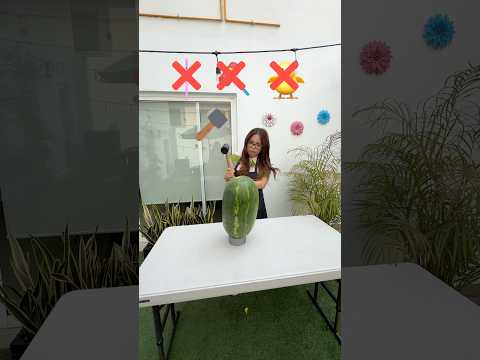 SANDÍA GIGANTE thumbnail