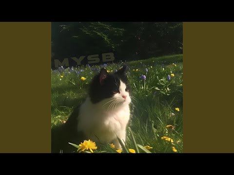 MYSB (Miss You so Bad) thumbnail
