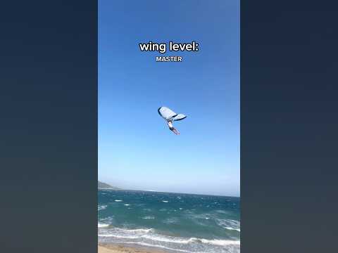 level MASTER is out of this world! 🤯👀 Crazy Wing flying thumbnail