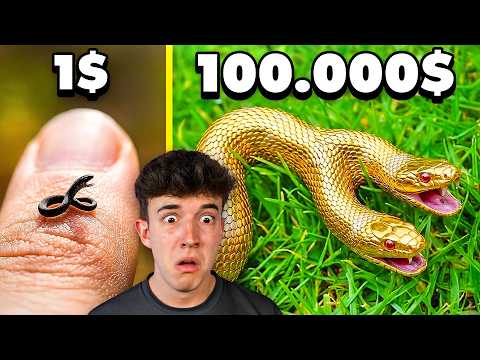 SERPIENTE de 1$ vs SERPIENTE de 100.000$ | REACCION thumbnail