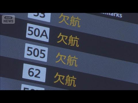 【台風6号】JALとANA 国内線524便欠航　首都高の通行止めはなし(2026年6月3日) thumbnail