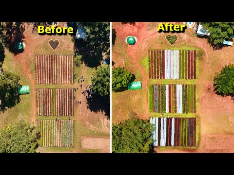 TEENS Turn a BARREN Paddock Into a FARM That Feeds Their Community! thumbnail