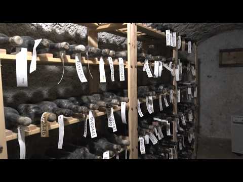 133 Bottles Of Century-Old Wine Hidden During WWII Being Restored thumbnail