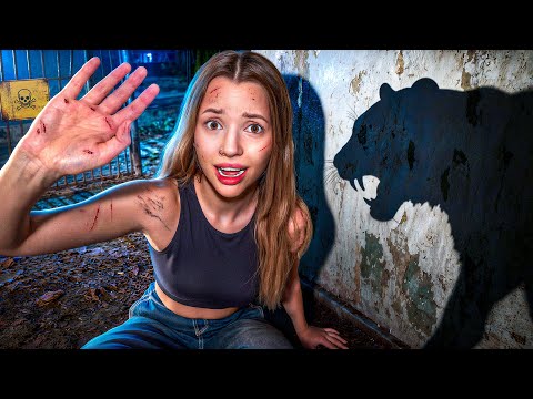 UTKNĘŁAM W STRASZNYM ZOO… 💀🦍 thumbnail