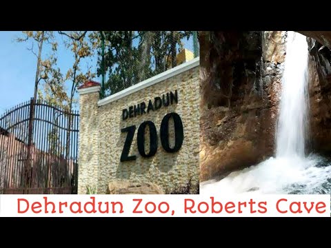 Dehradun Zoo || Roberts Caves || Lets Travel thumbnail