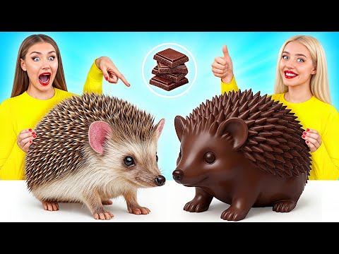 Desafío De Comida Real vs. De Comida Chocolate | Trucos Geniales Con La Comida Multi DO Challenge thumbnail