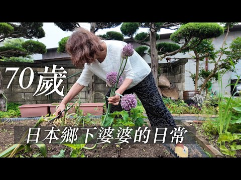 🇯🇵 70歲住在鄉下日本人婆婆的日常。 thumbnail