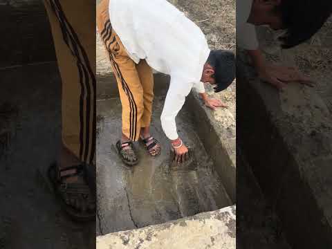 Arranging clean water for voiceless animals" #help thumbnail
