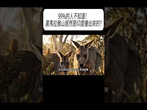 99%的人不知道！喜馬拉雅山居然是印度撞出來的?#科普 #漲知識 thumbnail
