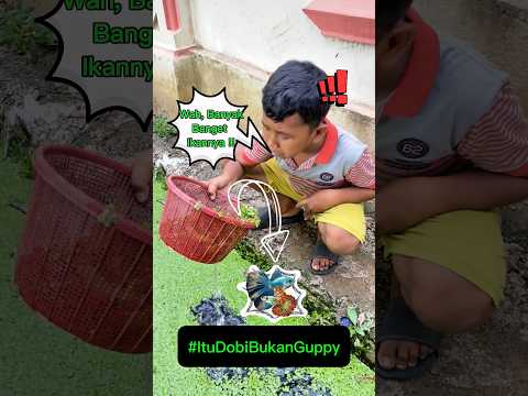 Itu Bukan Ikan Guppy Tapi Dobi !! #sudaistv #comedy #funny #shortvideo #lucu #standup #drama #fyf thumbnail