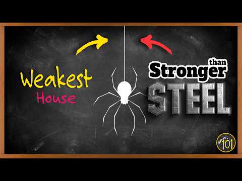 Stronger Than Steel… But Quran Says "the Weakest House?!" | Arabic101 thumbnail