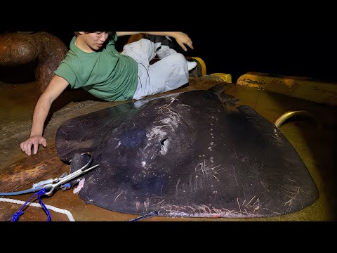 化け物を釣り上げた！！！！！！！！ thumbnail