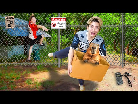 Giải Cứu Capybara Trong Khu Rừng Cắm Trại Bỏ Hoang! thumbnail