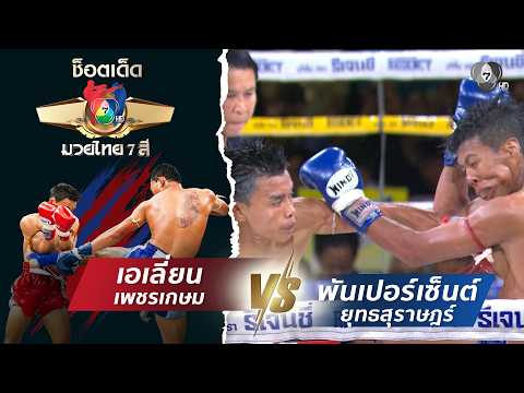 เอเลี่ยน เพชรเกษม vs พันเปอร์เซ็นต์ ยุทธสุราษฎร์ | ช็อตเด็ดแม่ไม้มวยไทย 7 สี thumbnail