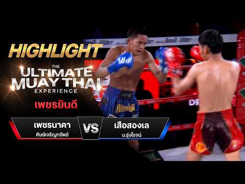 ไฮไลท์มวยไทย เพชรยินดี : เพชรนาคา ศิษย์เจริญทรัพย์ พบ เสือสองเล บ.รุ่งโรจน์ thumbnail
