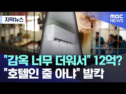 [자막뉴스] "감옥 너무 더워서" 12억? "호텔인 줄 아냐" 발칵 (2026.06.01/MBC뉴스) thumbnail