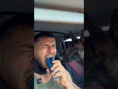 Adès à tester aussi 🤧🤭 #ciaoenergy #canette #inox #squeezie #ninolemalou thumbnail