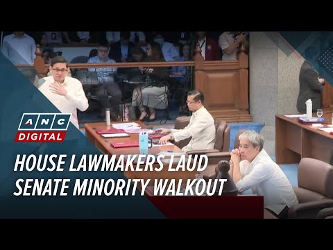 House lawmakers laud Senate minority walkout | ANC thumbnail