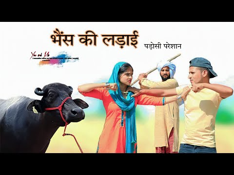 हक्कु की भैंस  @HAKKUSINGARIYA  // Aafiq Safiq Singariya thumbnail
