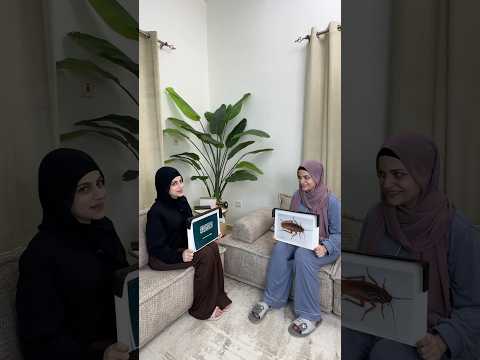 شو الشي الي معي😂😂 ام سيف ونانو thumbnail